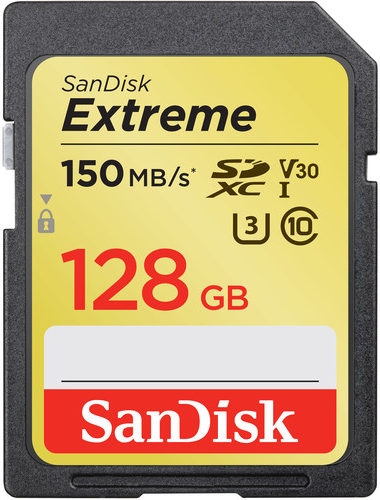 Dual 128GB SanDisk SD cards (primary pair)