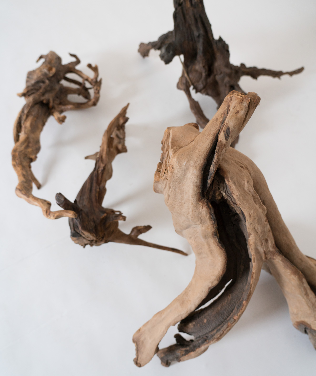 Driftwood
